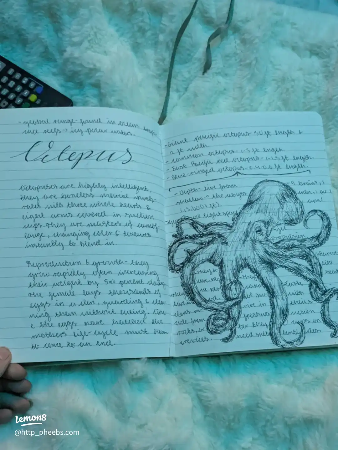 my marine biology journal's images(3)