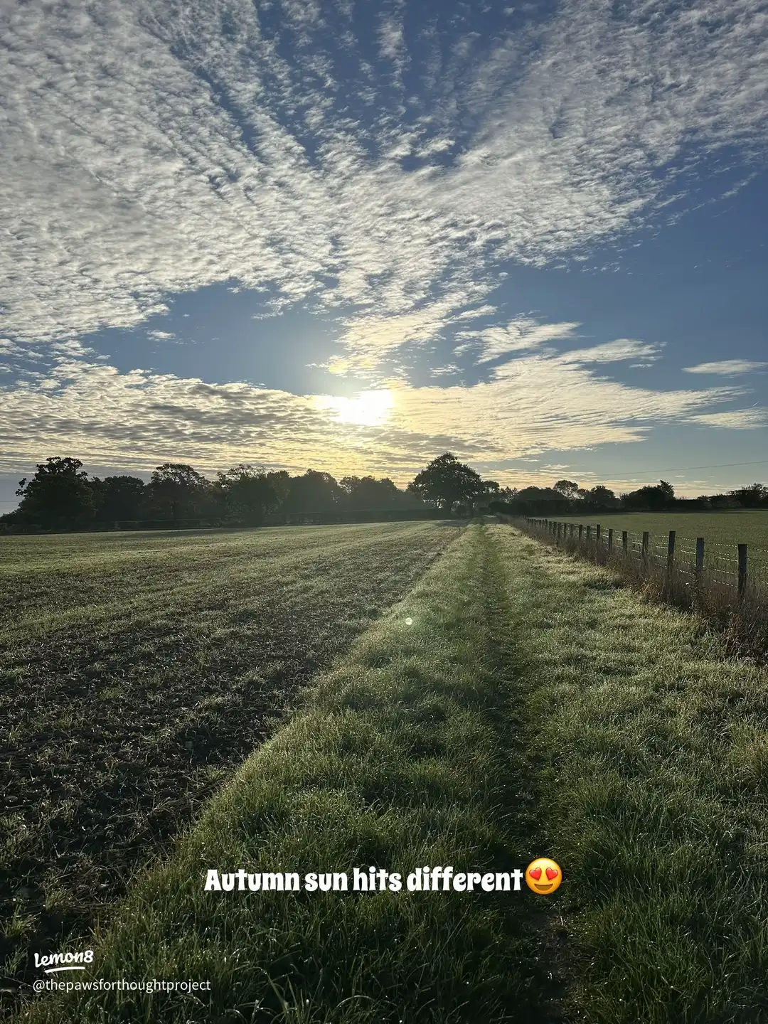 Swipe for autumn vibes 🍂 's images(1)