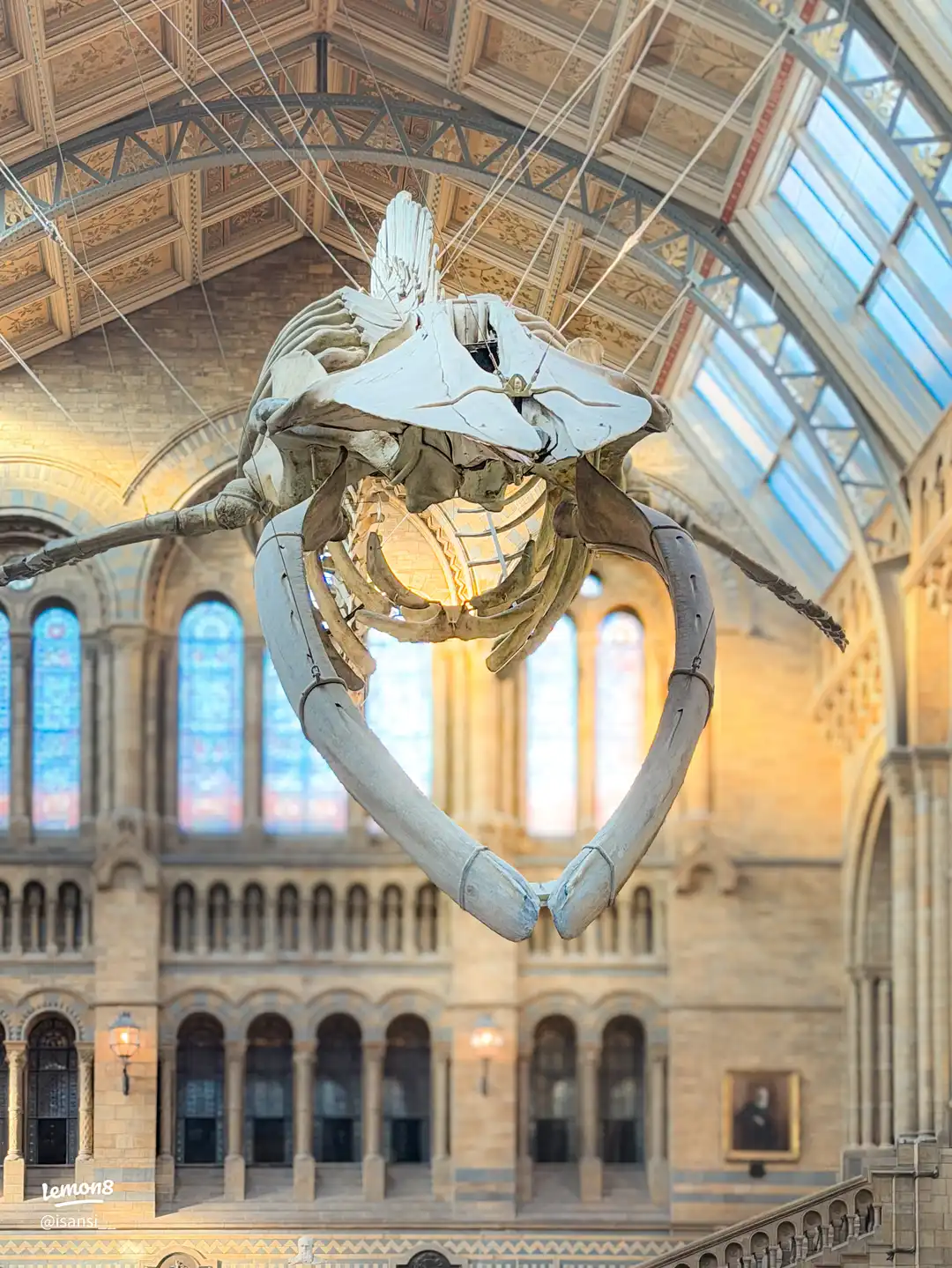 Natural History Museum 🦴's images(0)