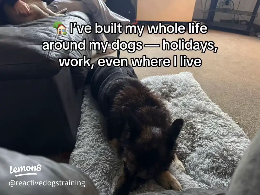 10 Things You Might Not Know About Me ✨ 's images(5)