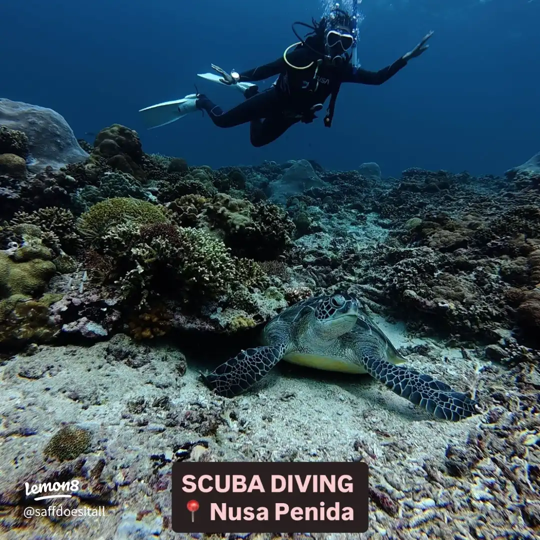 5 things to do in Bali 🌸 's images(1)