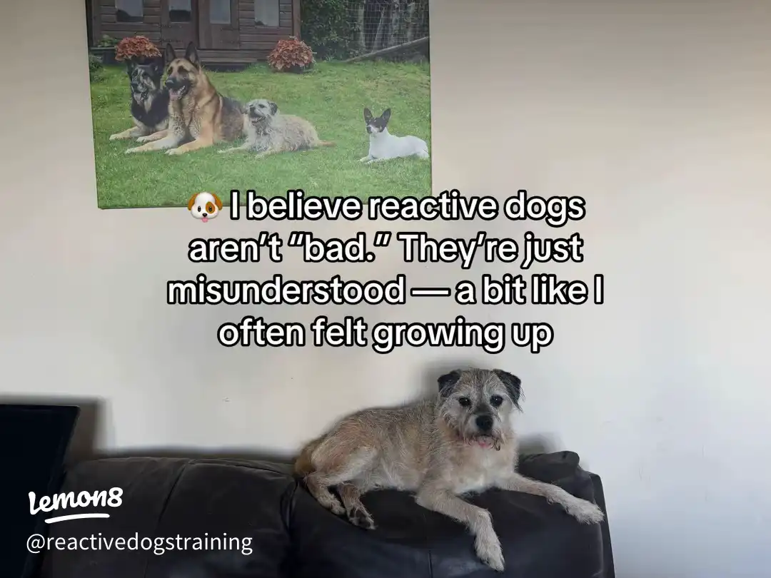 10 Things You Might Not Know About Me ✨ 's images(8)