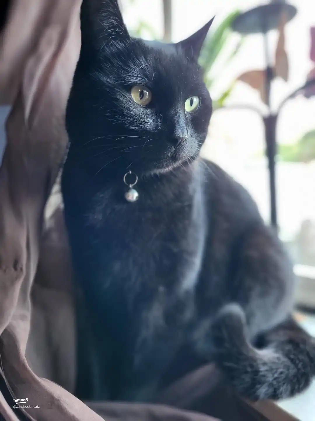 my babies 's images(5)