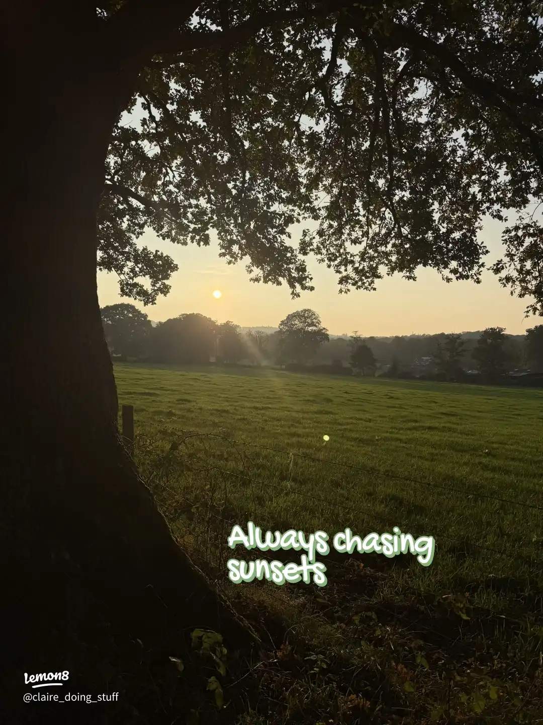 An autumn walk 🍂🍁🍄🍄🟫's images(4)